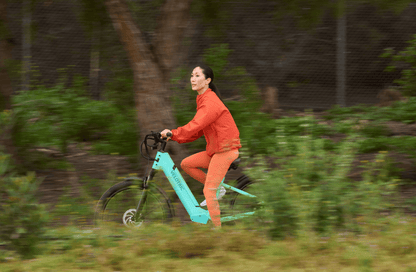 Velotric Discover 1 Plus Elcykel