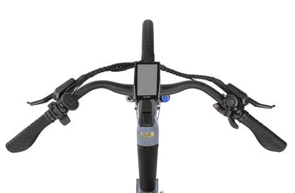 Velotric Packer 1 Elcykel