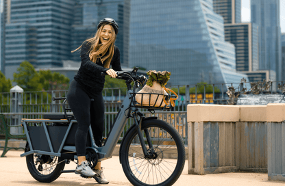 Velotric Packer 1 Elcykel