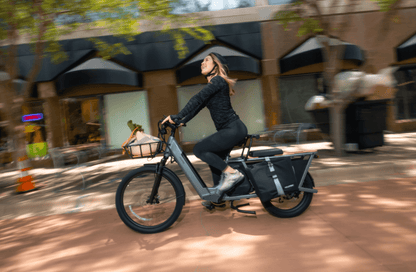 Velotric Packer 1 Elcykel